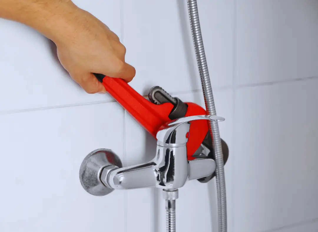 Mitigeur Thermostatique douche Faverges-Seythenex