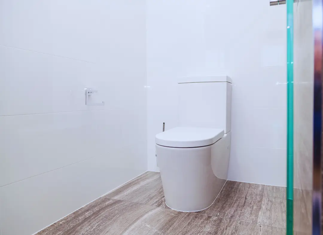 Remplacement de wc Faverges-Seythenex