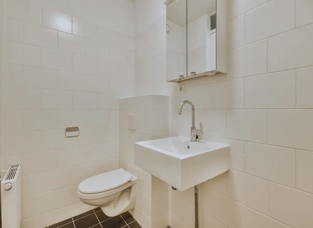 Pose WC Suspendu Faverges-Seythenex